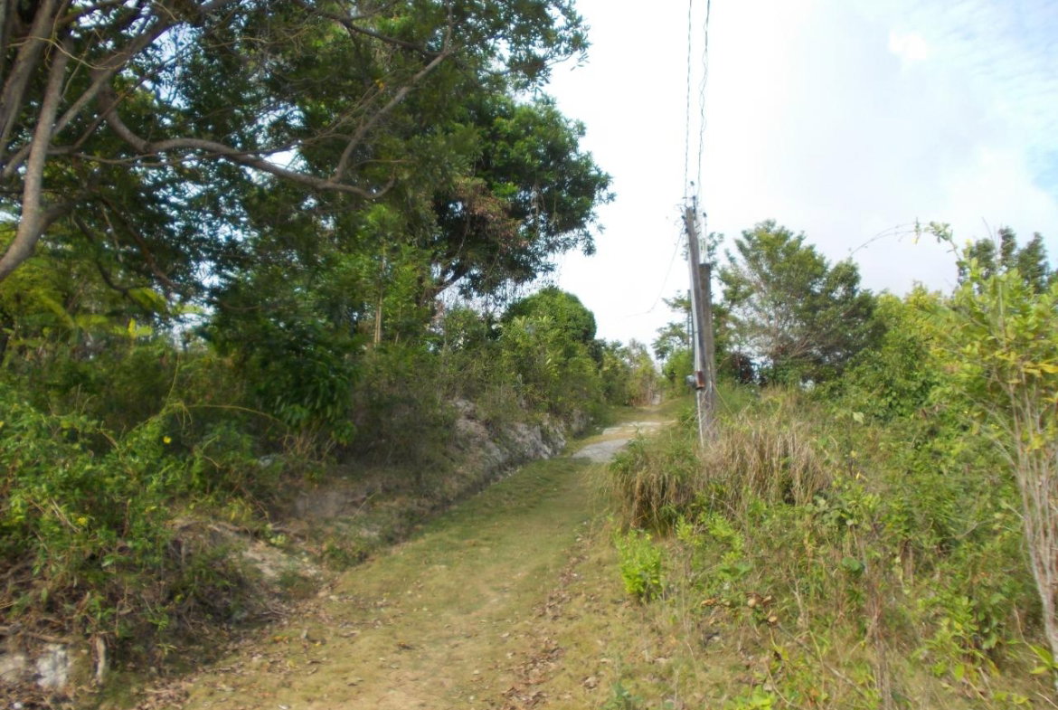 Tenth image of Holland Town Dalvey in Dalvey, St. Thomas, Jamaica - property is For Sale
