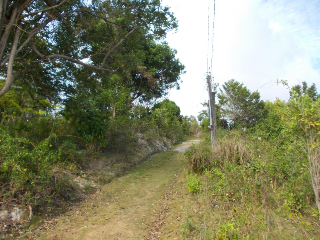 Residential-Lot-for-Sale-in-Holland-Town-Dalvey-St.-Thomas-Jamaica-–-Sea-Mountain-Views Tenth image of Holland Town Dalvey in Dalvey, St. Thomas, Jamaica - property is For Sale