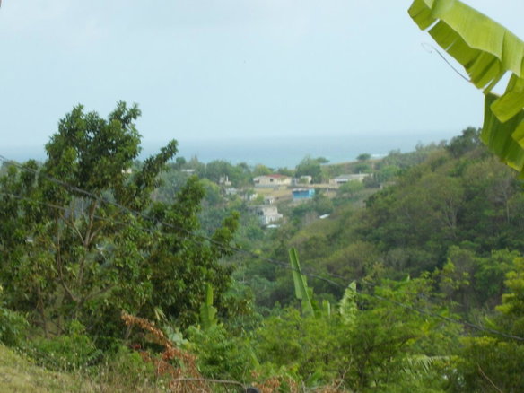 First image of Holland Town Dalvey in Dalvey, St. Thomas, Jamaica - property is For Sale