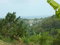 First image of Holland Town Dalvey in Dalvey, St. Thomas, Jamaica - property is For Sale
