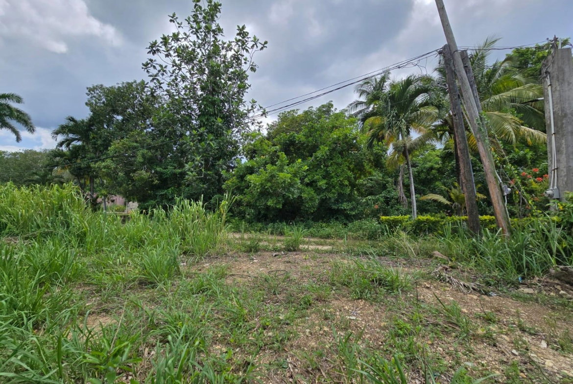 Third image of Lot 52- Irwin, St. James in Irwin, St. James, Jamaica - property is For Sale