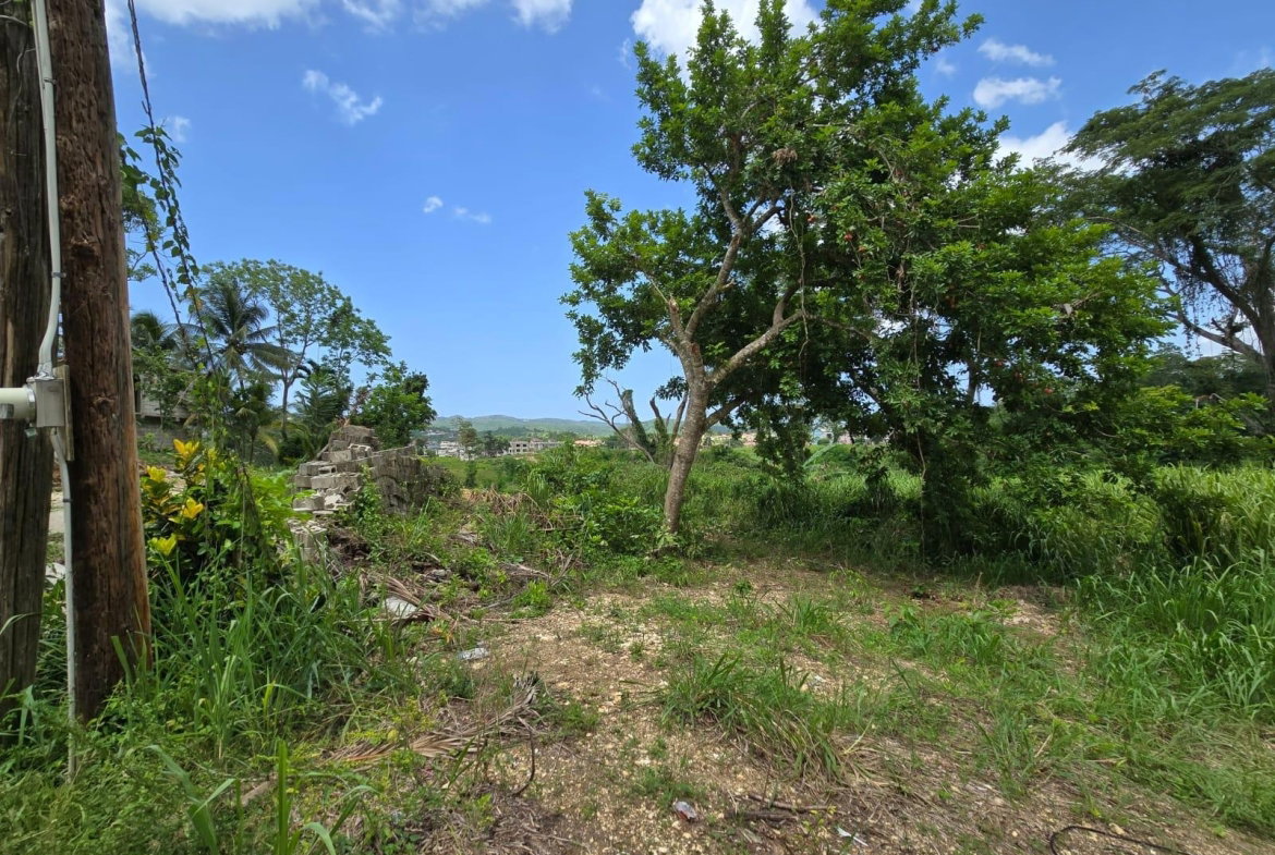 Fourth image of Lot 52- Irwin, St. James in Irwin, St. James, Jamaica - property is For Sale