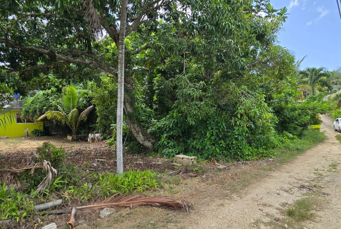 Fifth image of Lot 52- Irwin, St. James in Irwin, St. James, Jamaica - property is For Sale