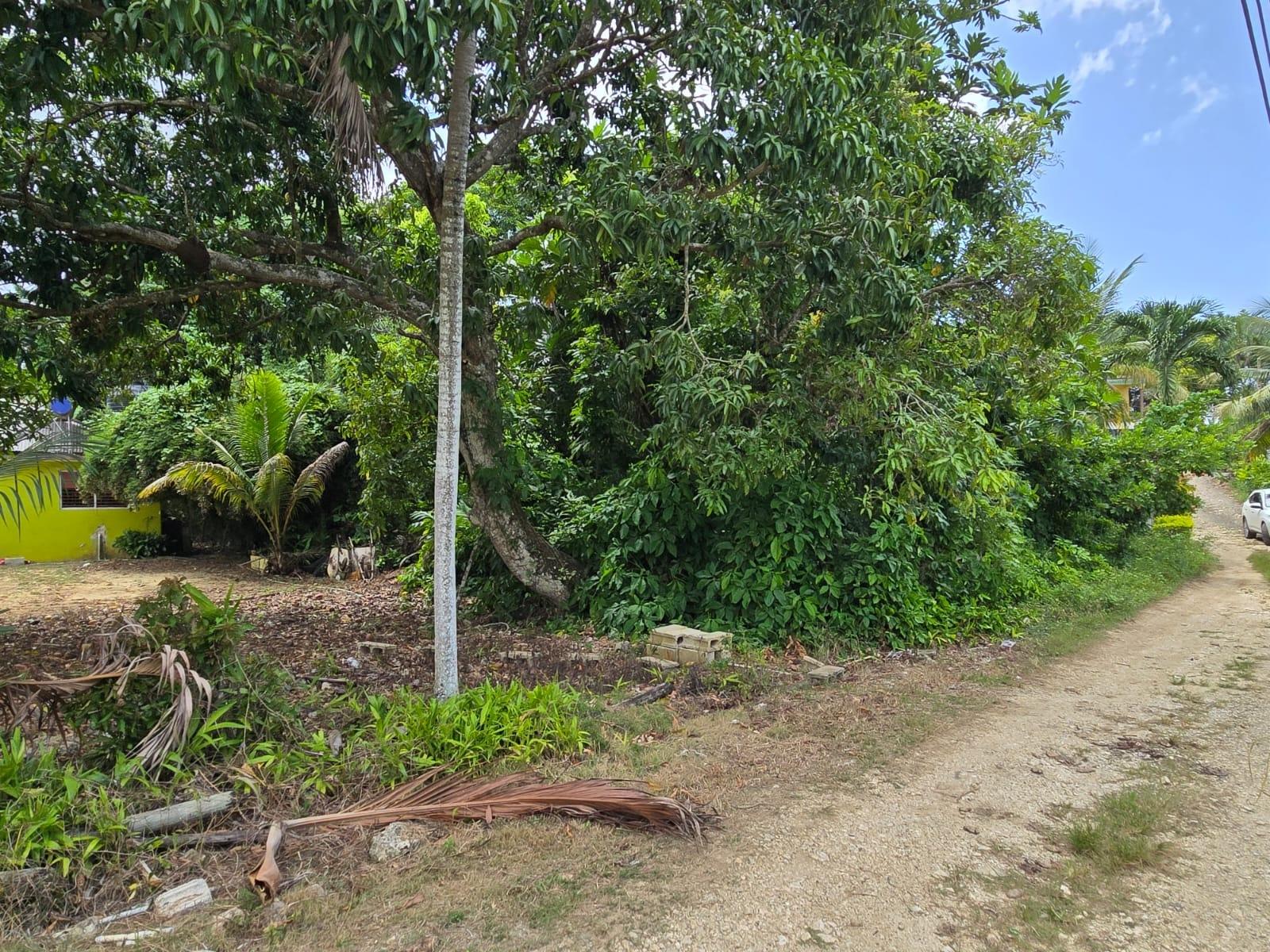 Residential-Lot-for-Sale-in-Irwin-St.-James-Jamaica-Lot-52 Fifth image of Lot 52- Irwin, St. James in Irwin, St. James, Jamaica - property is For Sale