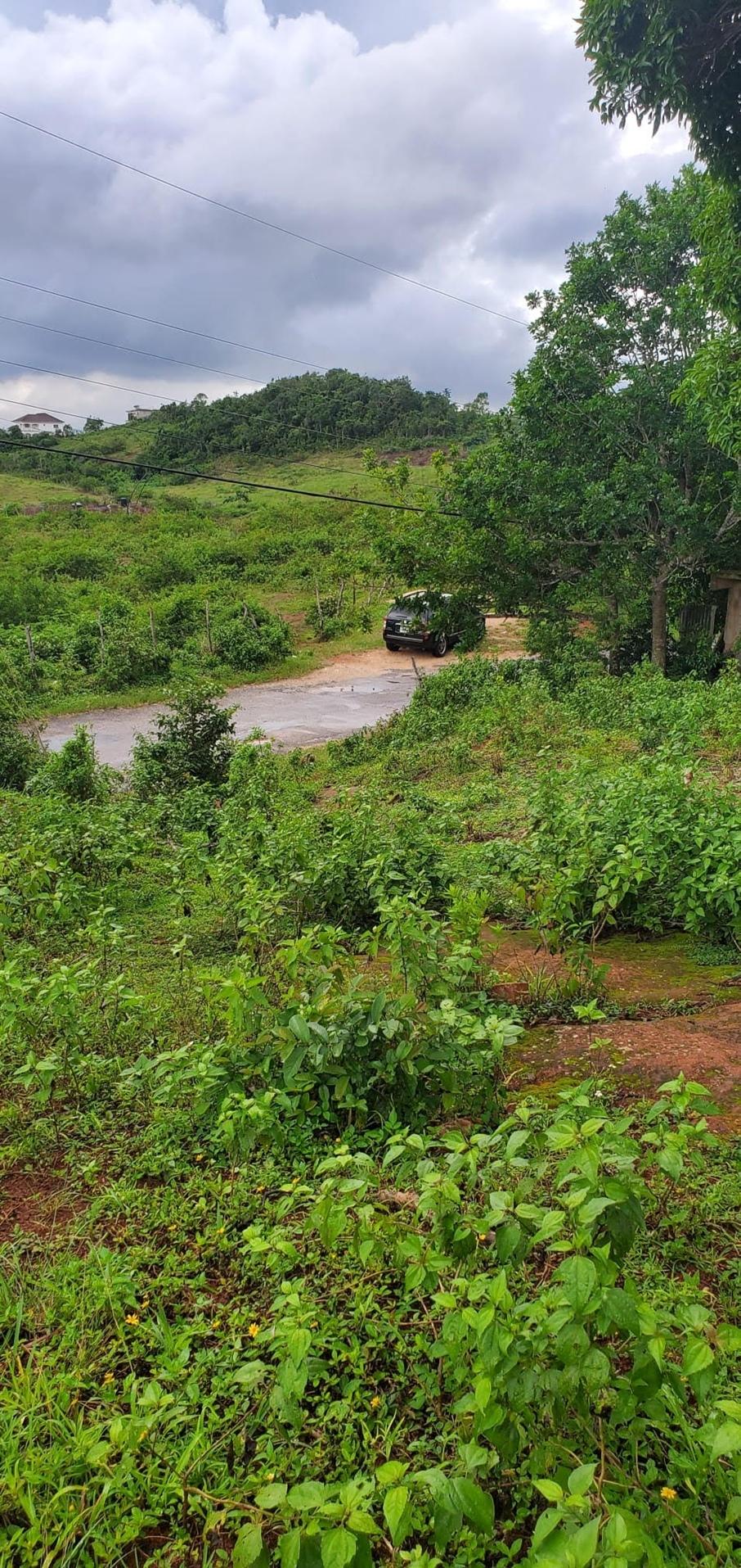 Second image of 303 Palm Road, Knock Patrick in Knockpatrick, Manchester, Jamaica - property is For Sale