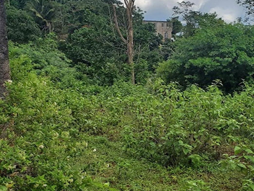Fifth image of 303 Palm Road, Knock Patrick in Knockpatrick, Manchester, Jamaica - property is For Sale