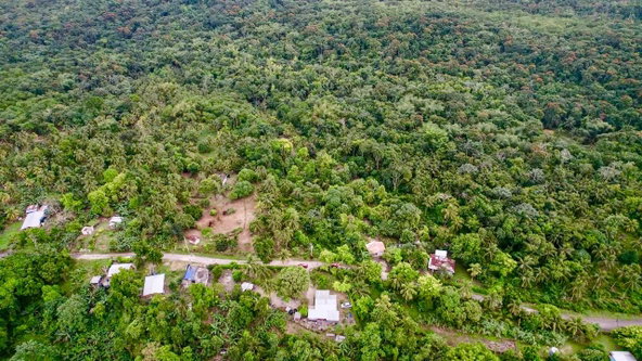 Second image of Langley in Sandside, St. Mary, Jamaica - property is For Sale