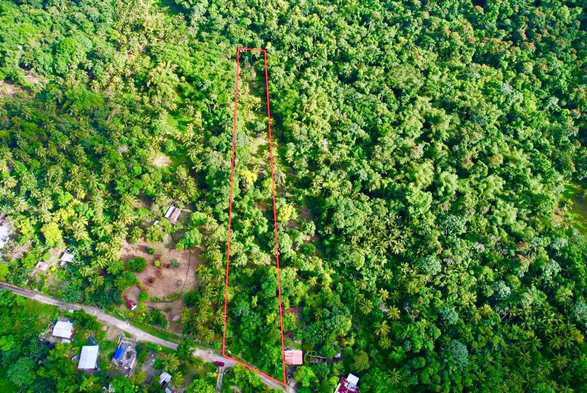Third image of Langley in Sandside, St. Mary, Jamaica - property is For Sale