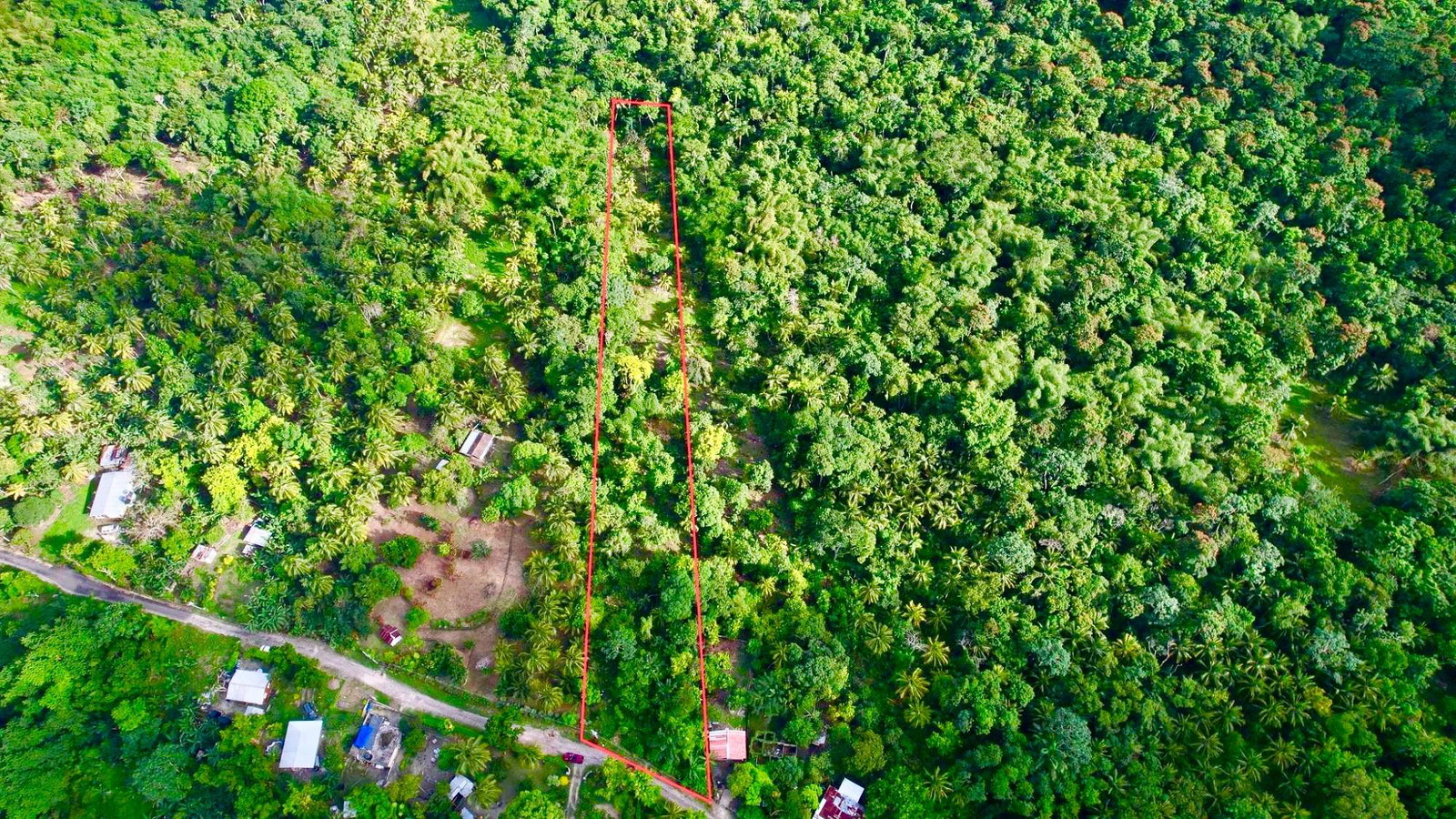 Residential-Lot-for-Sale-in-Langley-St.-Mary-Jamaica-–-Private-Oasis-with-Mountain-Views Third image of Langley in Sandside, St. Mary, Jamaica - property is For Sale