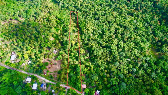 Third image of Langley in Sandside, St. Mary, Jamaica - property is For Sale