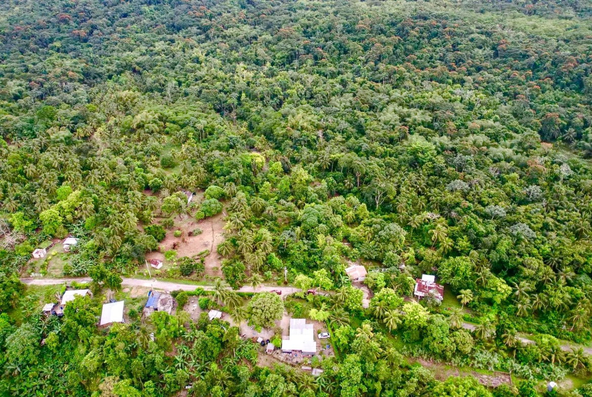 Fourth image of Langley in Sandside, St. Mary, Jamaica - property is For Sale