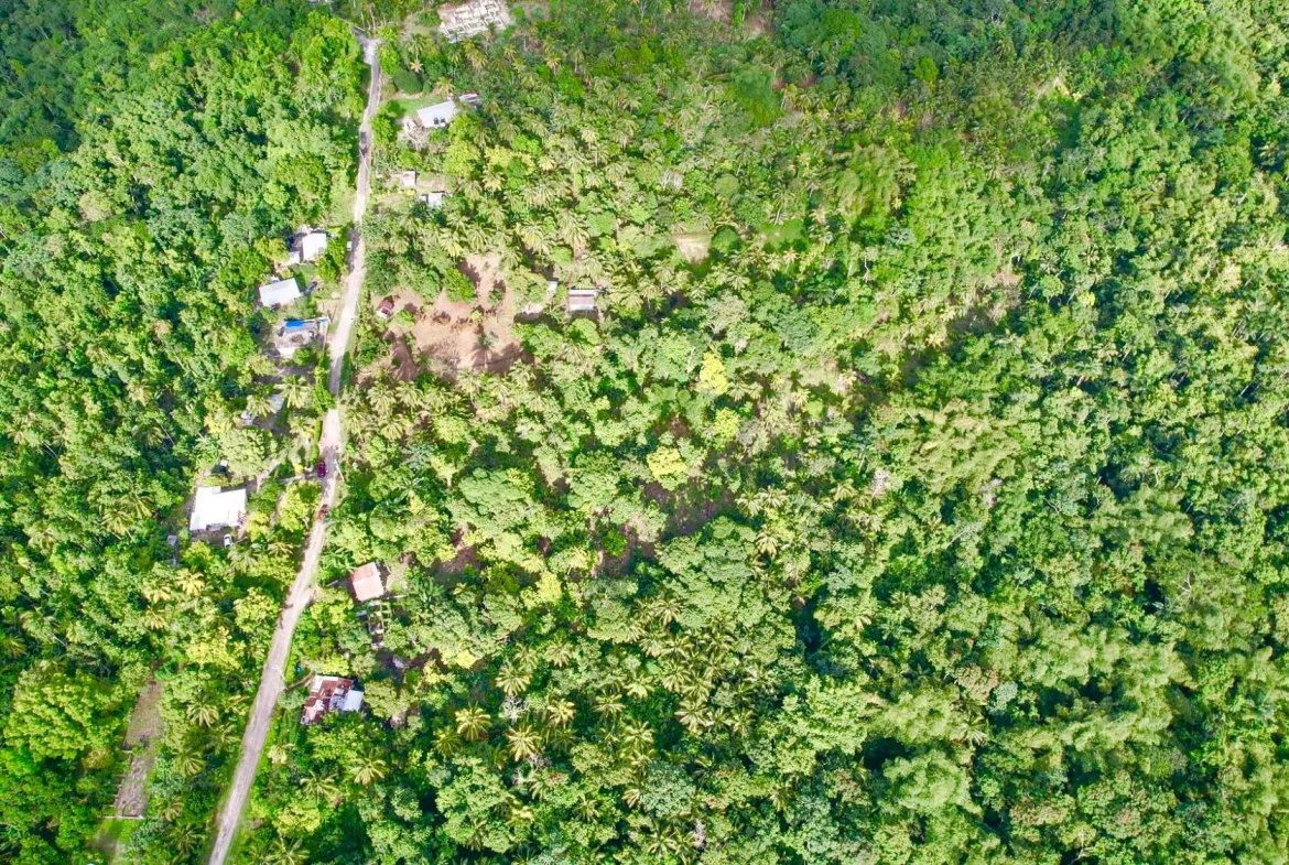 Fifth image of Langley in Sandside, St. Mary, Jamaica - property is For Sale