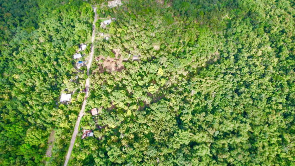 Fifth image of Langley in Sandside, St. Mary, Jamaica - property is For Sale