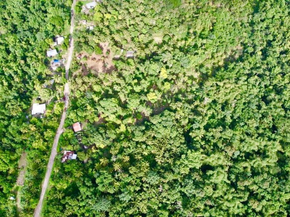 First image of Langley in Sandside, St. Mary, Jamaica - property is For Sale