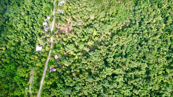 First image of Langley in Sandside, St. Mary, Jamaica - property is For Sale