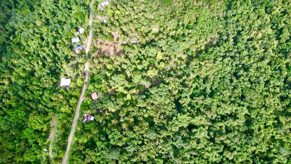 First image of Langley in Sandside, St. Mary, Jamaica - property is For Sale