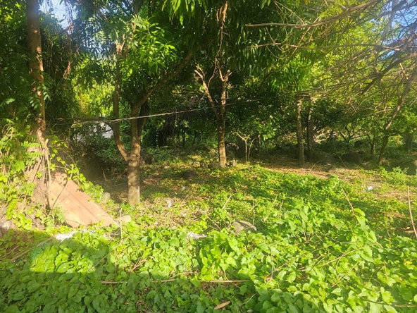 Second image of Llandeney, Saint Thomas in Llandewey, St. Thomas, Jamaica - property is For Sale
