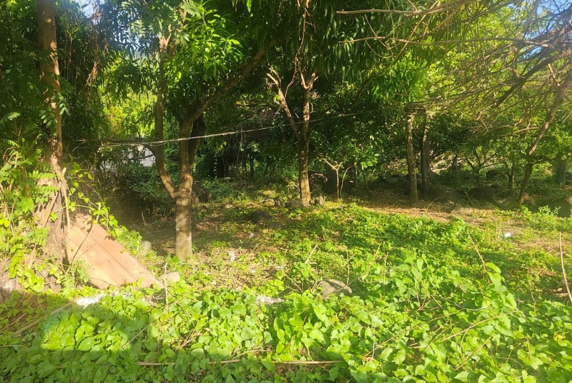 Second image of Llandeney, Saint Thomas in Llandewey, St. Thomas, Jamaica - property is For Sale