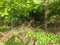 First image of Llandeney, Saint Thomas in Llandewey, St. Thomas, Jamaica - property is For Sale