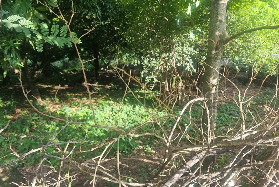 Fifth image of Llandeney, Saint Thomas in Llandewey, St. Thomas, Jamaica - property is For Sale