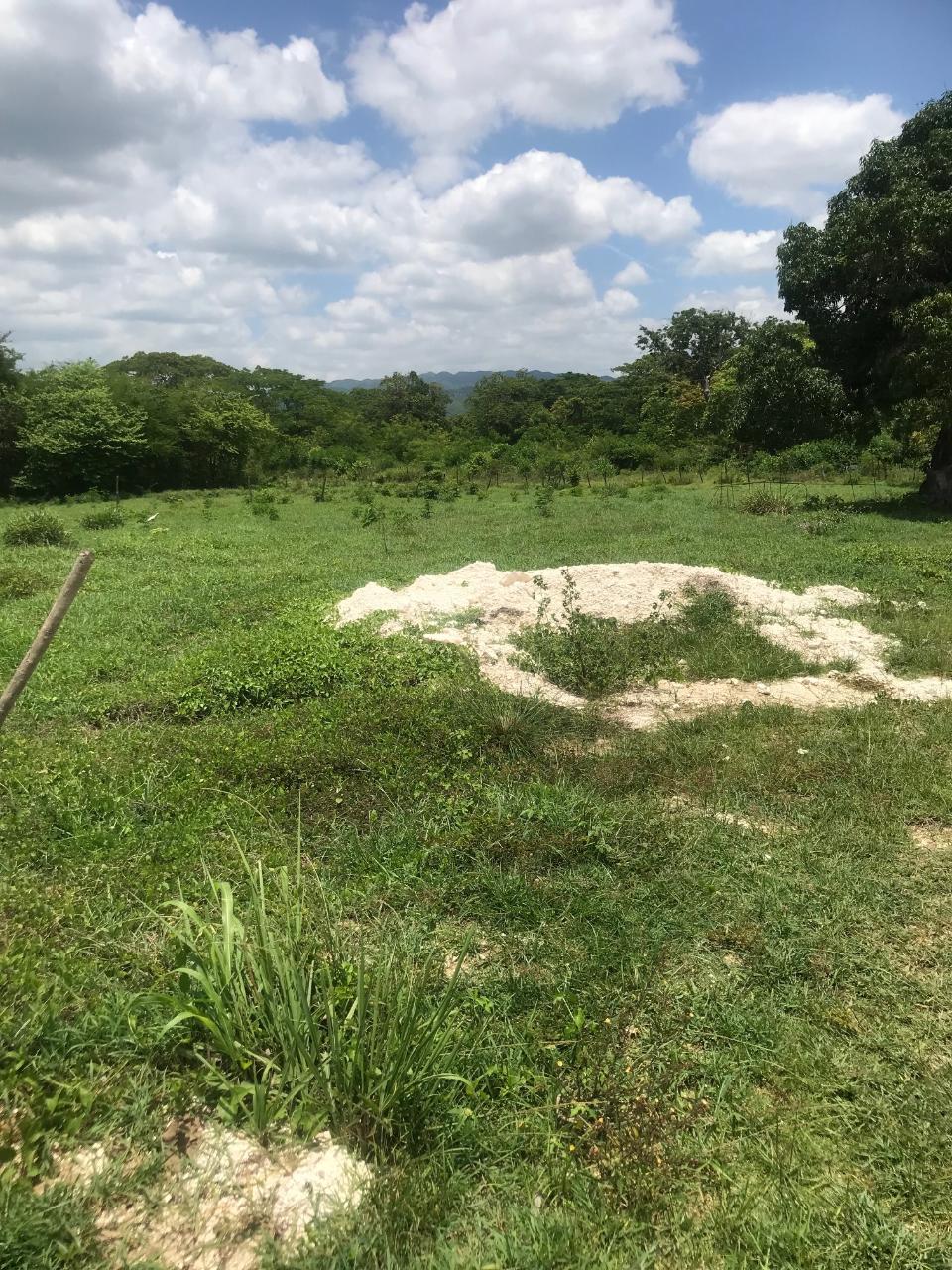 Second image of Lot 2- Luana Pen in Middle Quarters, St. Elizabeth, Jamaica - property is For Sale