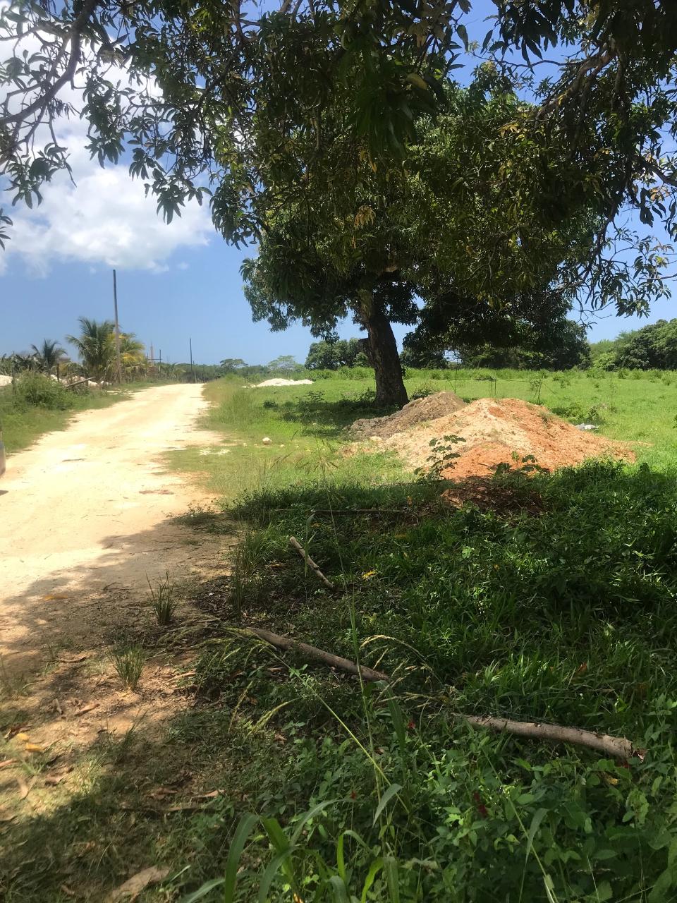 Third image of Lot 2- Luana Pen in Middle Quarters, St. Elizabeth, Jamaica - property is For Sale