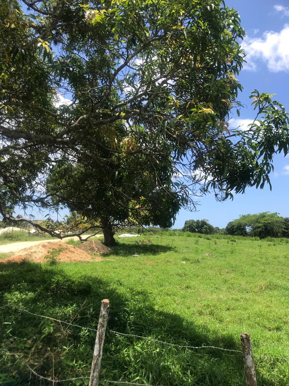 Fourth image of Lot 2- Luana Pen in Middle Quarters, St. Elizabeth, Jamaica - property is For Sale