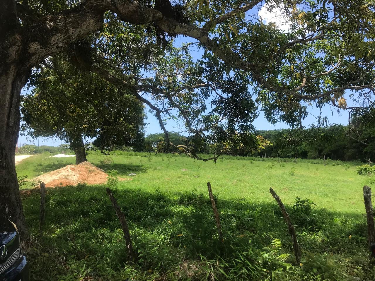 Fifth image of Lot 2- Luana Pen in Middle Quarters, St. Elizabeth, Jamaica - property is For Sale