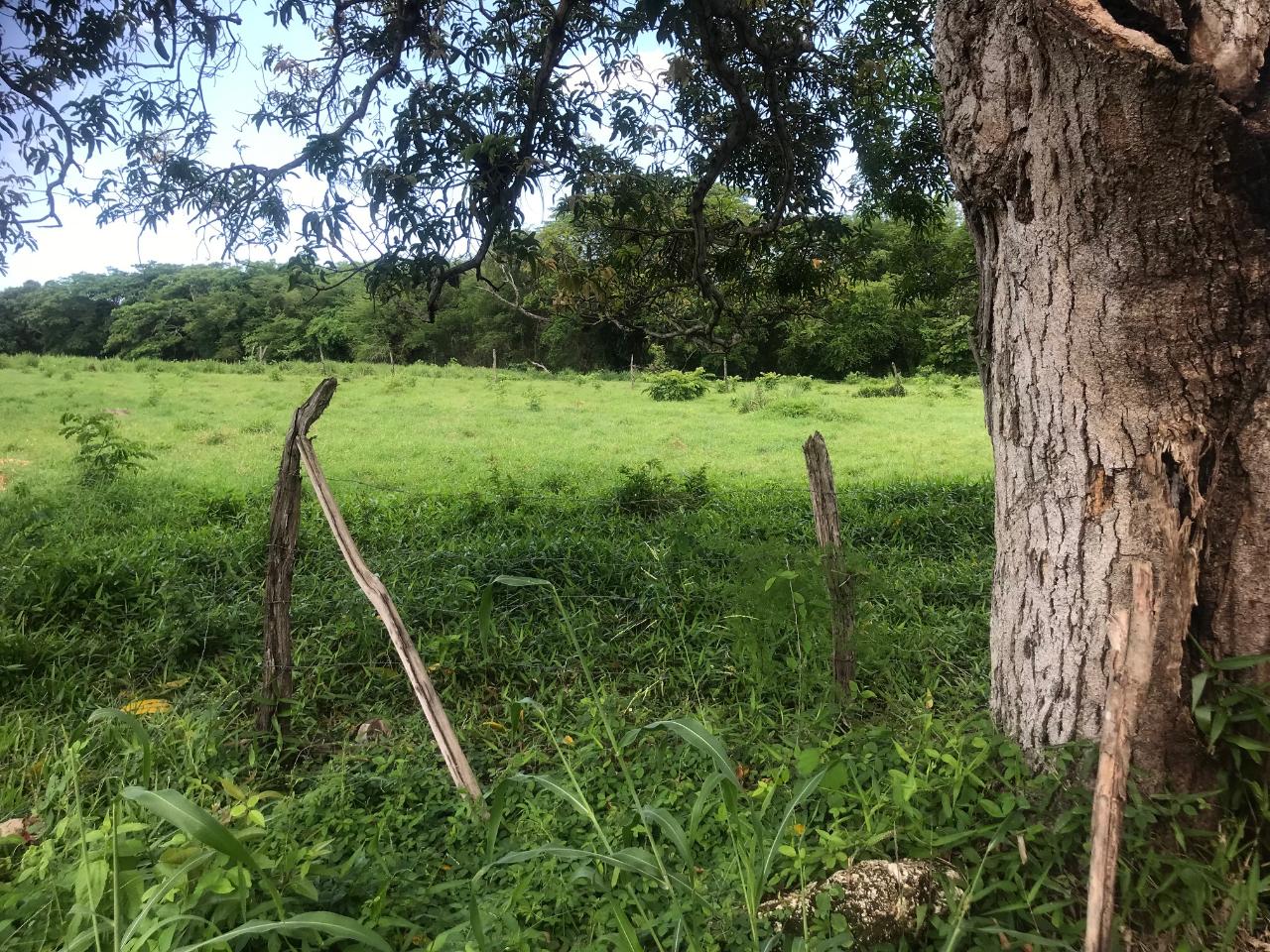 Sixth image of Lot 2- Luana Pen in Middle Quarters, St. Elizabeth, Jamaica - property is For Sale