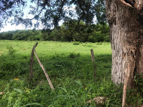 Sixth image of Lot 2- Luana Pen in Middle Quarters, St. Elizabeth, Jamaica - property is For Sale