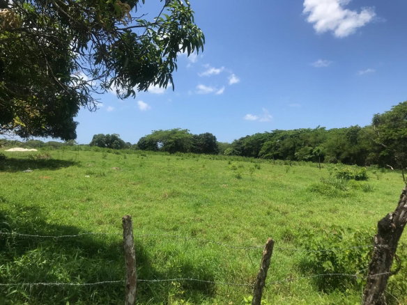 First image of Lot 2- Luana Pen in Middle Quarters, St. Elizabeth, Jamaica - property is For Sale