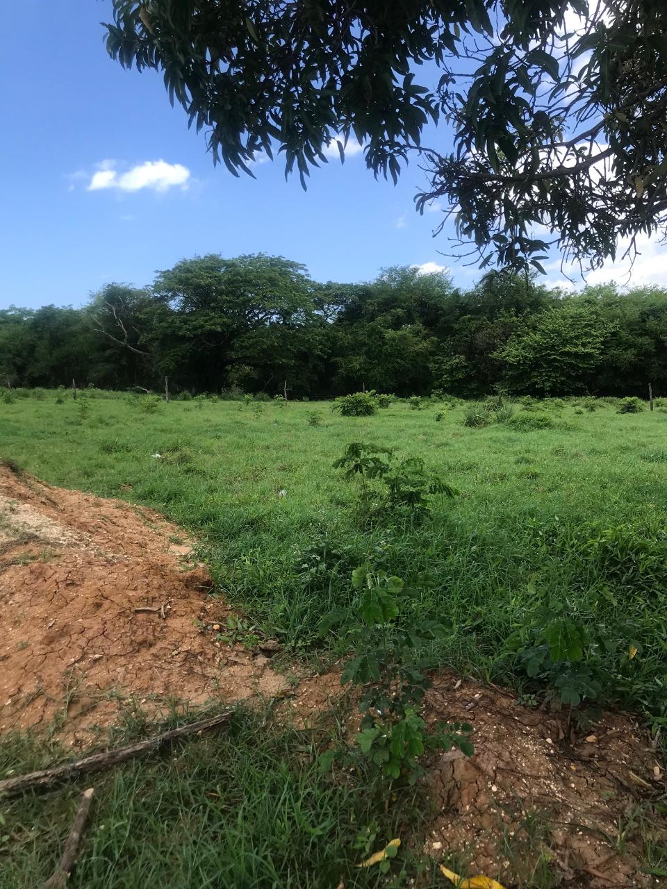 Seventh image of Lot 2- Luana Pen in Middle Quarters, St. Elizabeth, Jamaica - property is For Sale