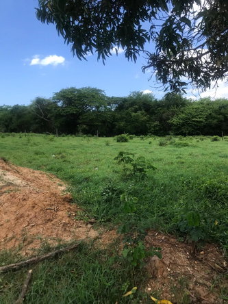 Seventh image of Lot 2- Luana Pen in Middle Quarters, St. Elizabeth, Jamaica - property is For Sale