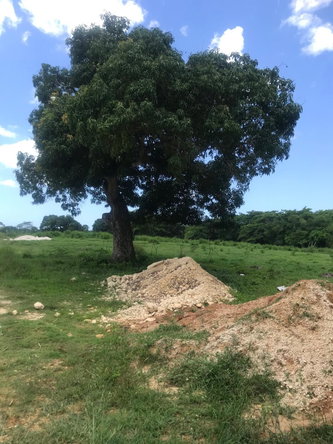 Eighth image of Lot 2- Luana Pen in Middle Quarters, St. Elizabeth, Jamaica - property is For Sale