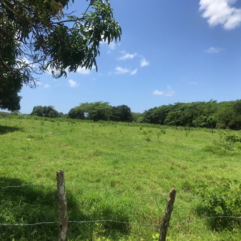 First image of Lot 2- Luana Pen in Middle Quarters, St. Elizabeth, Jamaica - property is For Sale