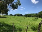 First image of Lot 2- Luana Pen in Middle Quarters, St. Elizabeth, Jamaica - property is For Sale
