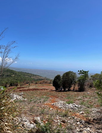 Fourth image of 80 Ivan Brown Blvd, Malvern in Malvern, St. Elizabeth, Jamaica - property is For Sale