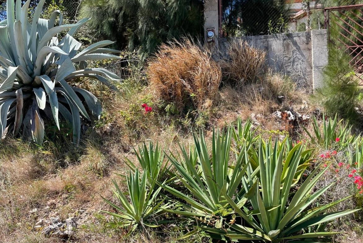 Sixth image of 80 Ivan Brown Blvd, Malvern in Malvern, St. Elizabeth, Jamaica - property is For Sale
