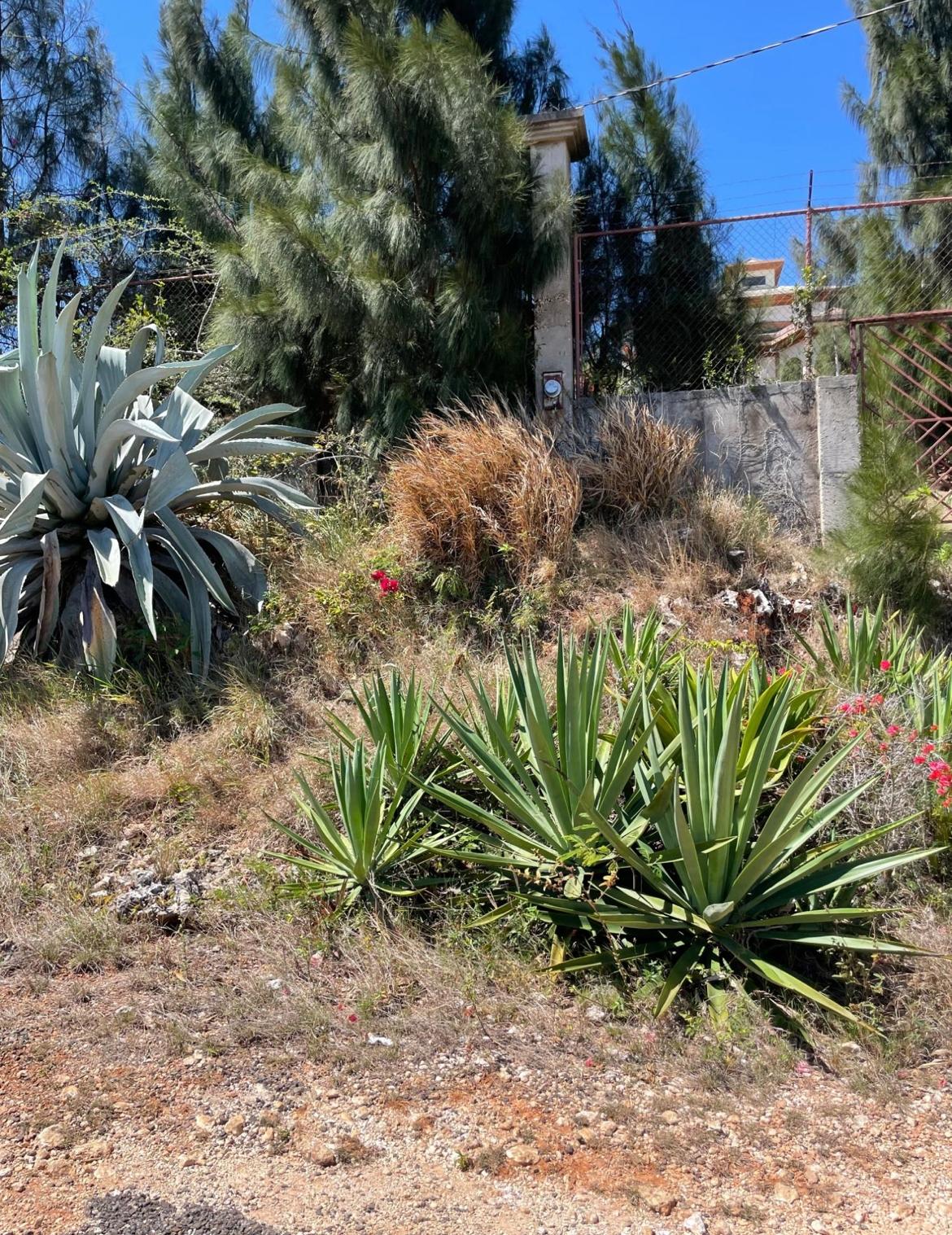 Sixth image of 80 Ivan Brown Blvd, Malvern in Malvern, St. Elizabeth, Jamaica - property is For Sale