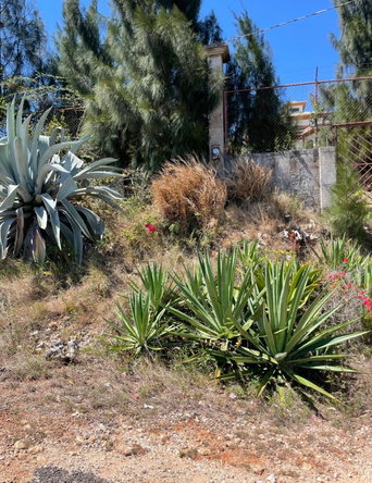 Sixth image of 80 Ivan Brown Blvd, Malvern in Malvern, St. Elizabeth, Jamaica - property is For Sale