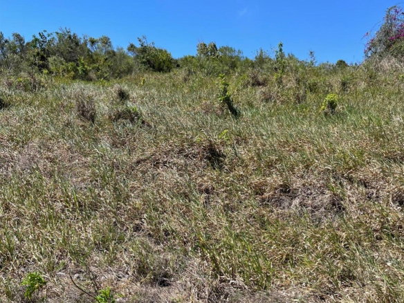 First image of 80 Ivan Brown Blvd, Malvern in Malvern, St. Elizabeth, Jamaica - property is For Sale