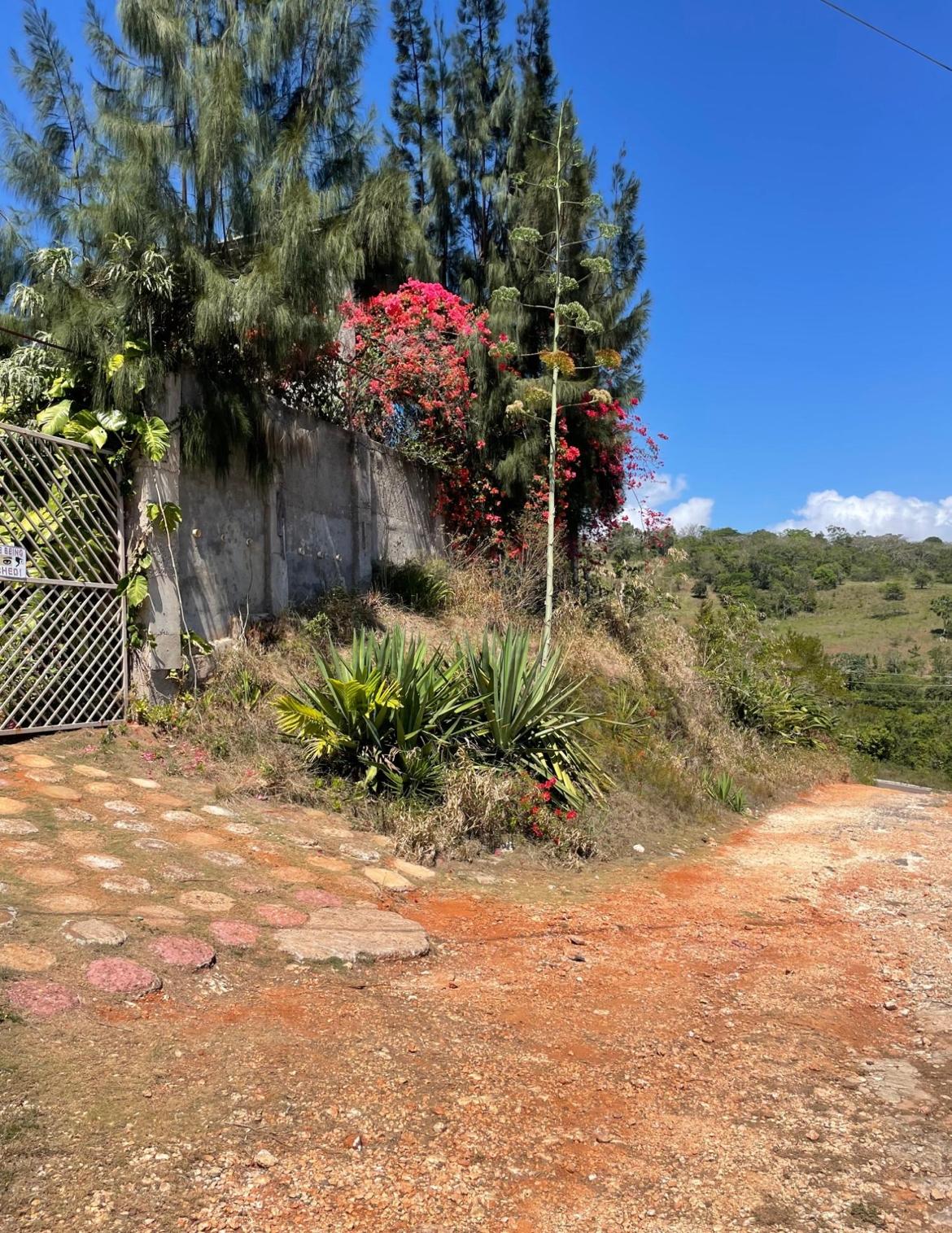 Seventh image of 80 Ivan Brown Blvd, Malvern in Malvern, St. Elizabeth, Jamaica - property is For Sale