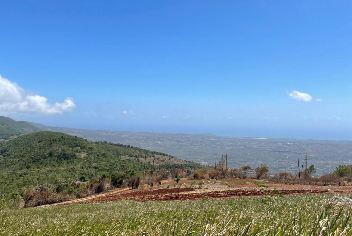 Eighth image of 80 Ivan Brown Blvd, Malvern in Malvern, St. Elizabeth, Jamaica - property is For Sale