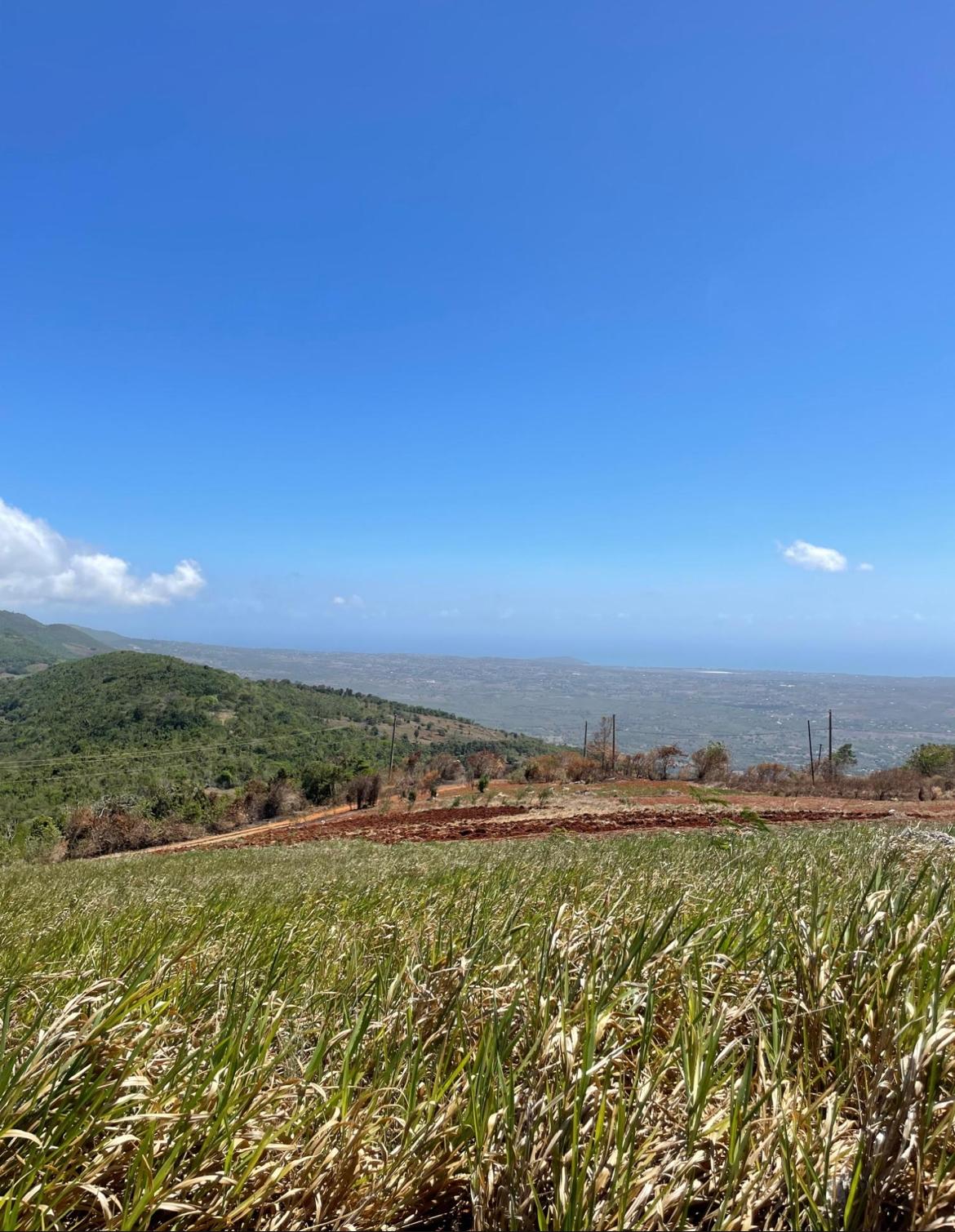 Eighth image of 80 Ivan Brown Blvd, Malvern in Malvern, St. Elizabeth, Jamaica - property is For Sale