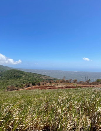 Eighth image of 80 Ivan Brown Blvd, Malvern in Malvern, St. Elizabeth, Jamaica - property is For Sale