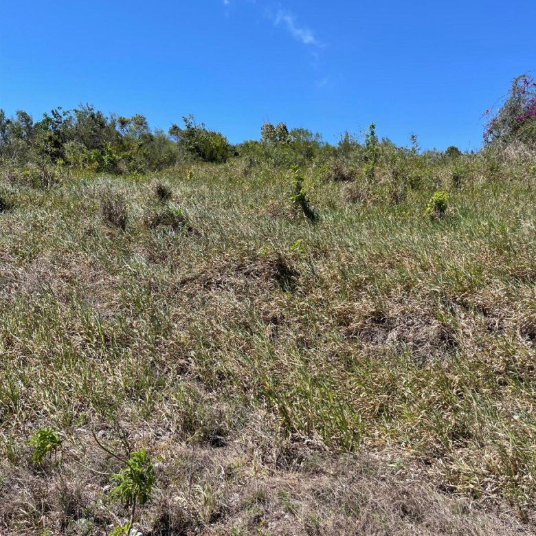 First image of 80 Ivan Brown Blvd, Malvern in Malvern, St. Elizabeth, Jamaica - property is For Sale