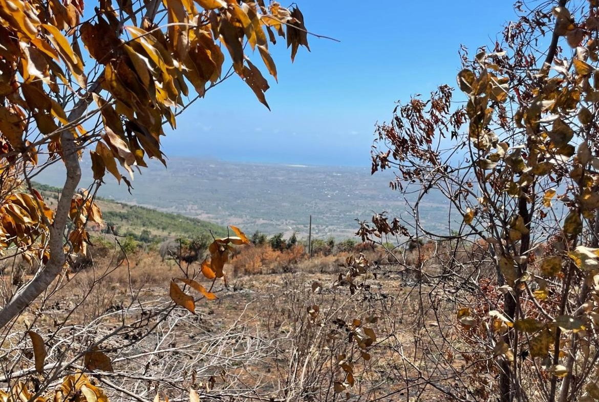 Ninth image of 80 Ivan Brown Blvd, Malvern in Malvern, St. Elizabeth, Jamaica - property is For Sale