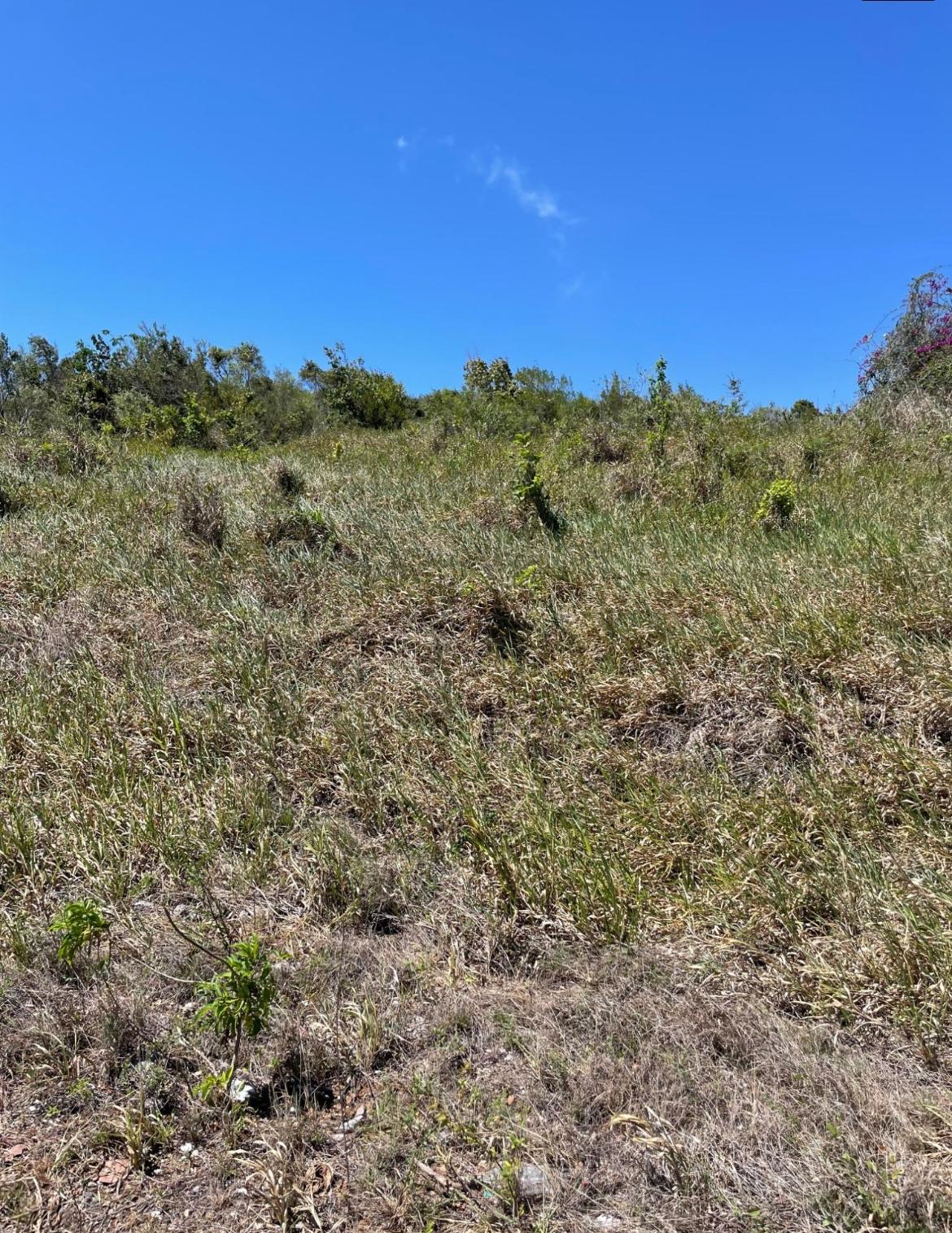 First image of 80 Ivan Brown Blvd, Malvern in Malvern, St. Elizabeth, Jamaica - property is For Sale