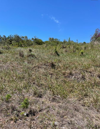 First image of 80 Ivan Brown Blvd, Malvern in Malvern, St. Elizabeth, Jamaica - property is For Sale
