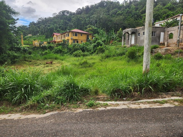 Third image of Lot 4 Mckinley Drive in Brumalia, Manchester, Jamaica - property is For Sale